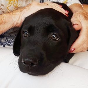 Meet your Posher, Elizabeth